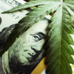 hemp and money